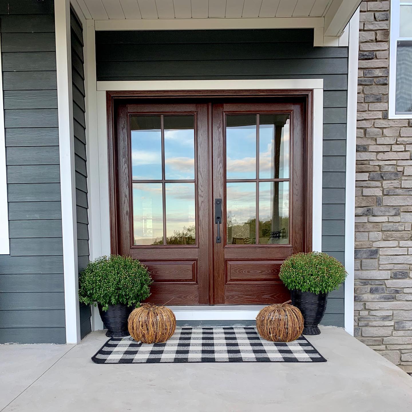 Thera+Tru+Door+11-1920w